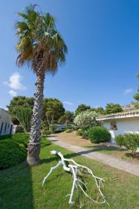 Photo #6 of Miramare Residence in Favignana, Italy