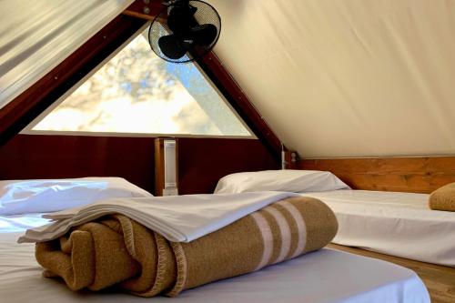Photo #2 of Hostel & Glamping Santa Fortunata in Sorrento, Italy