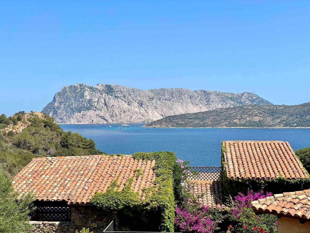 Photo #1 of SAN TEODORO PUNTA EST TRILOCALE VISTA MARE in Capo Coda Cavallo, Italy