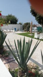 Photo #6 of La Salina in Lampedusa, Italy