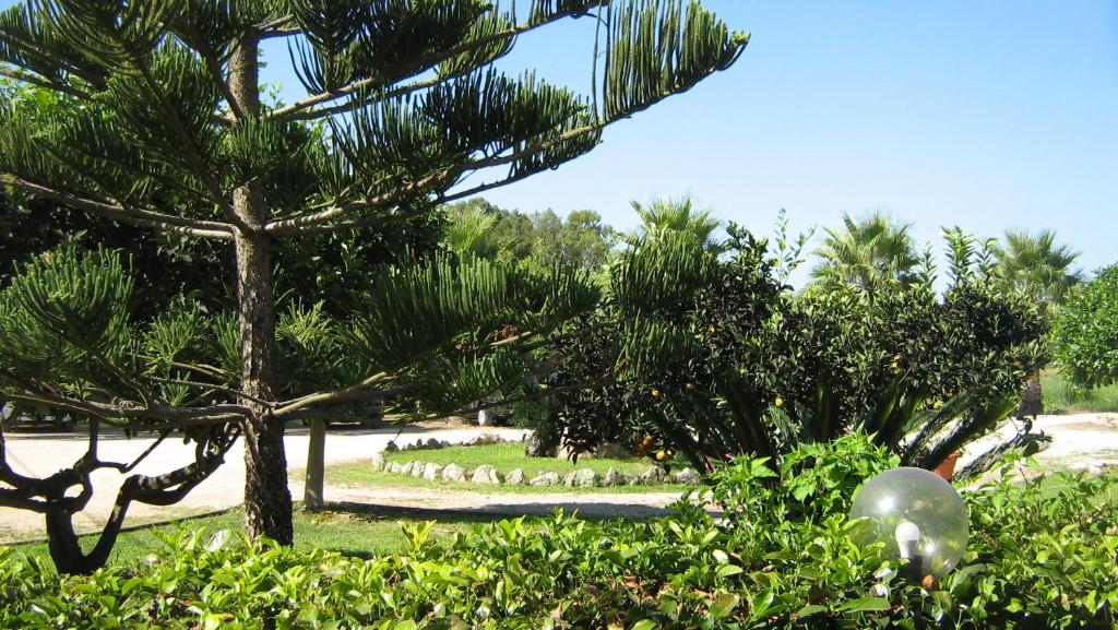 Photo of Tenuta Paifer in Otranto, Italy