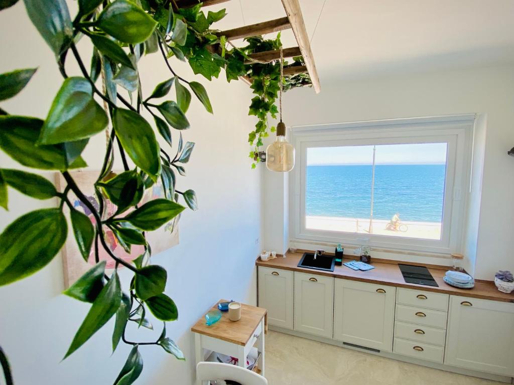 Photo of Seafront Holidays & Workstays in Molfetta, Italy