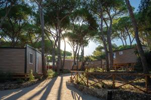 Photo #5 of Camping Il Capannino Glamping Village in Marina di Bibbona, Italy