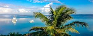 Photo #6 of Silver Seas Hotel in Ocho Rios, Jamaica