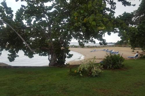 Photo #2 of Negril Condo by the Beach Apt. 194 Point Village in Negril, Jamaica