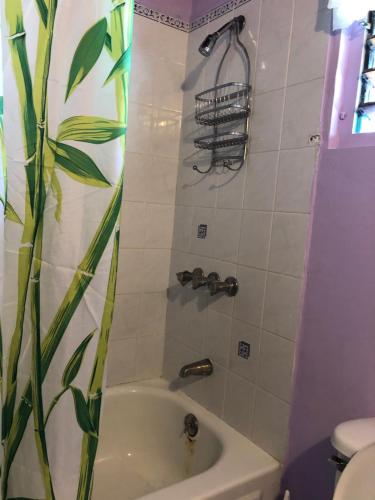 Photo #2 of Seascape Apartments in Negril, Jamaica