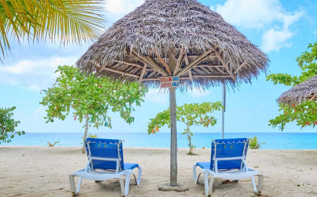 Photo #1 of Yellow Bird Sea in Negril, Jamaica
