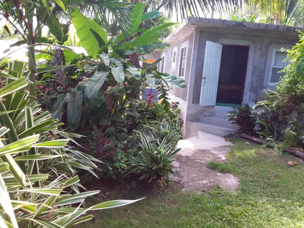 Photo of Port Antonio Brian's Beach House in Port Antonio, Jamaica