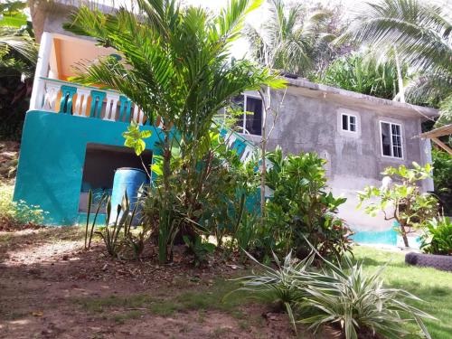 Photo #2 of Port Antonio Brian's Beach House in Port Antonio, Jamaica