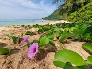 Photo #5 of SunBoo Beach Bungalows in Preah Sihanouk, Cambodia