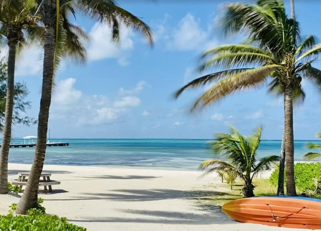 Photo of Beach Living at the Retreat in Rum Point, Cayman Islands
