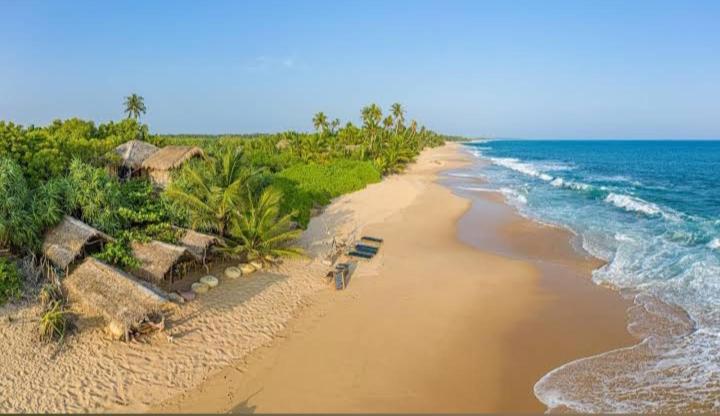 Photo of Cinnabar Resort in Tangalle, Sri Lanka