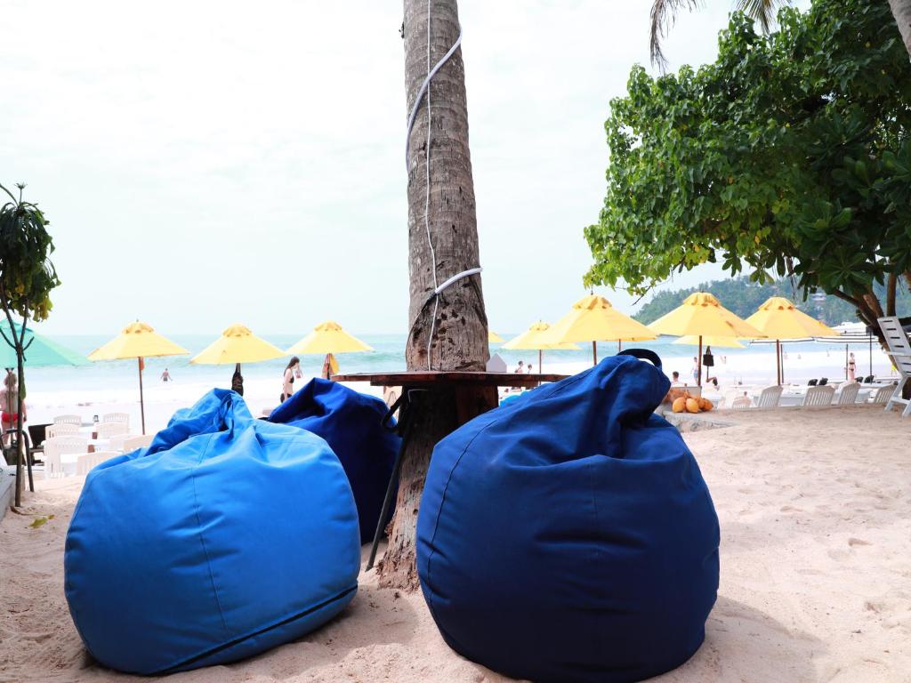 Photo #1 of Fresh Wave Mirissa - Beach Front in Mirissa, Sri Lanka