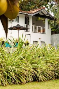 Photo #6 of Coco Tangalla in Sri Lanka, Sri Lanka