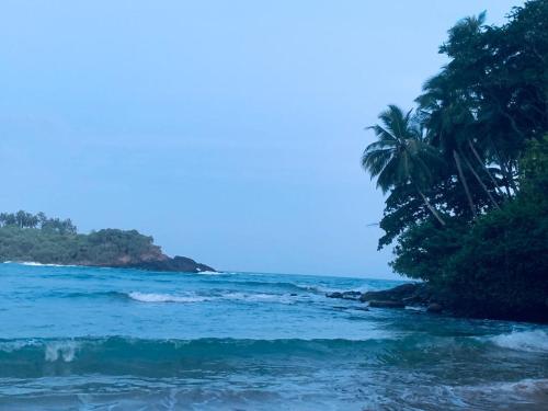 Photo #2 of Surf Villa Hiriketiya in Dikwella, Sri Lanka
