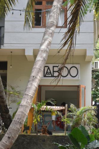 Photo #3 of Taboo in Dikwella, Sri Lanka