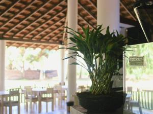 Photo #3 of Calma - Surf, Yoga & Coffee on a Private Beach in Dikwella, Sri Lanka