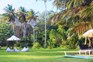 Photo #4 of Calma - Surf, Yoga & Coffee on a Private Beach in Dikwella, Sri Lanka