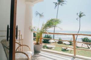 Photo #5 of Dreamsea Sri Lanka in Ahangama, Sri Lanka