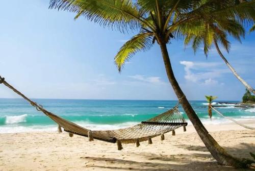 Photo #3 of Blue Moon Villa in Waskaduwa, Sri Lanka