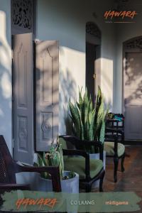 Photo #4 of HAWARA CoLiving Midigama in Midigama, Sri Lanka