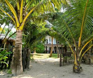 Photo #4 of Coco Mirissa in Mirissa, Sri Lanka