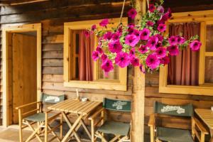 Photo #4 of GRAB ethno village and camp in Бријег, Montenegro