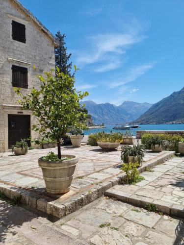Photo #3 of Veneto in Пераст, Montenegro