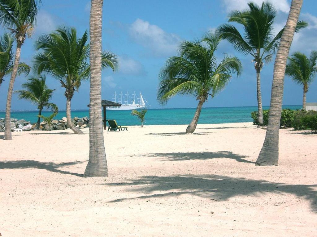 Photo #1 of Mimosa in Sandy Ground, Saint Martin