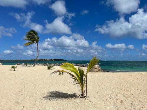 Photo #3 of Shell Beach - Magnifique Loft sur la plage in Sandy Ground, Saint Martin