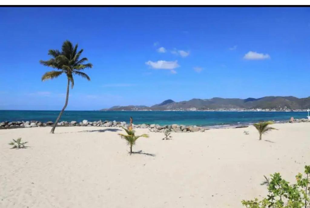 Photo #1 of Le Minuty in Sandy Ground, Saint Martin