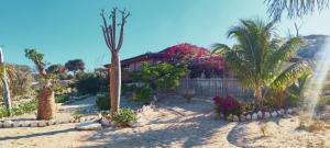 Photo #5 of Villa Nature in Toliara, Madagascar