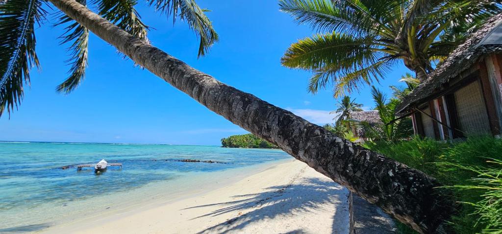Photo of KINTANA LODGE in Sainte Marie, Madagascar