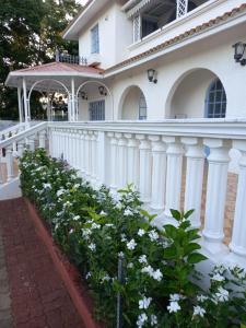 Photo #6 of Shanti Villa in Flic en Flac, Mauritius