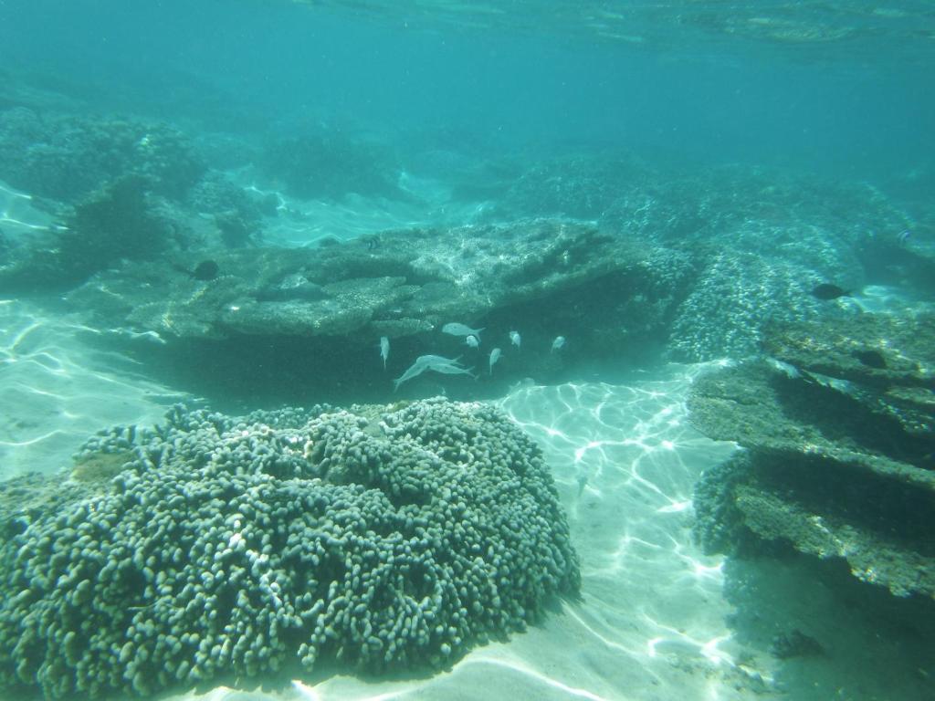 Photo of Mauristudio in St Martin, Mauritius
