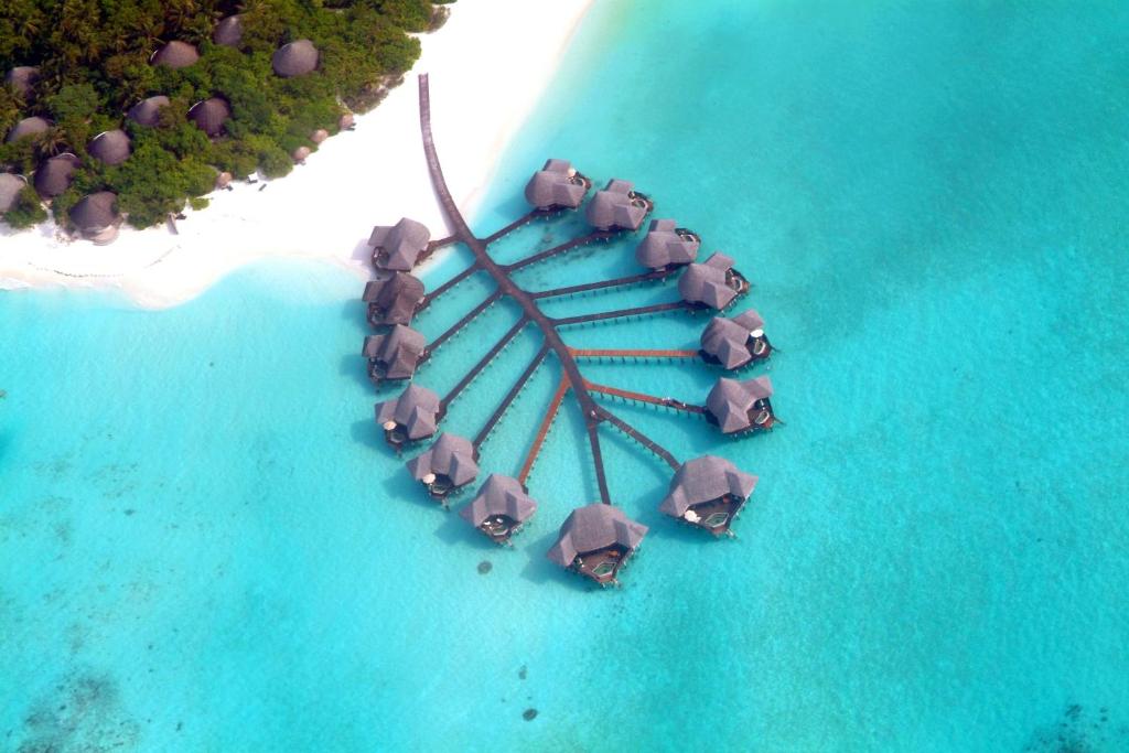 Photo of Coco Palm Dhuni Kolhu - 20 percent off roundtrip Seaplane for stays from 1 May to 30 September 2025 in Baa Atoll, Maldives