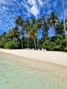 Photo #4 of Finolhu Beach Guest House in Felidhoo, Maldives