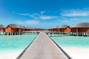 Photo #6 of Anantara Dhigu Maldives Resort - Complimentary Round-Trip Transportation for minimum stay of 3 nights and more 25 April to 10 October 2025 in South Male Atoll, Maldives