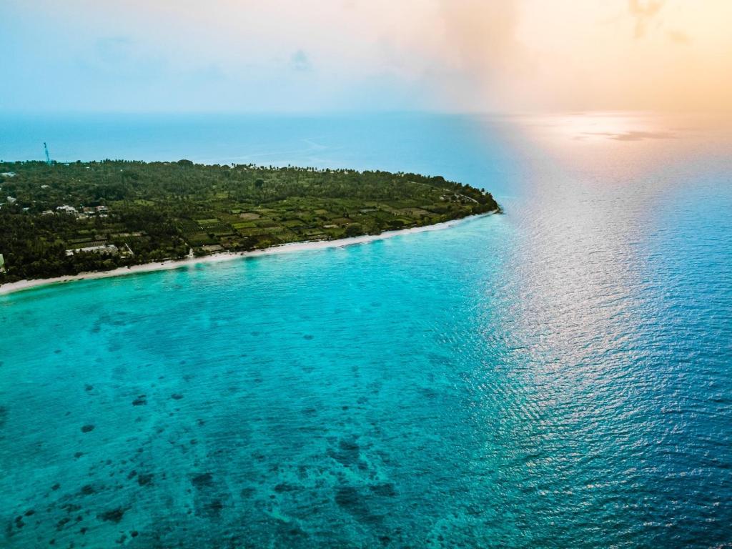 Photo of Riyaludhathuru Maldives in Thoddoo, Maldives