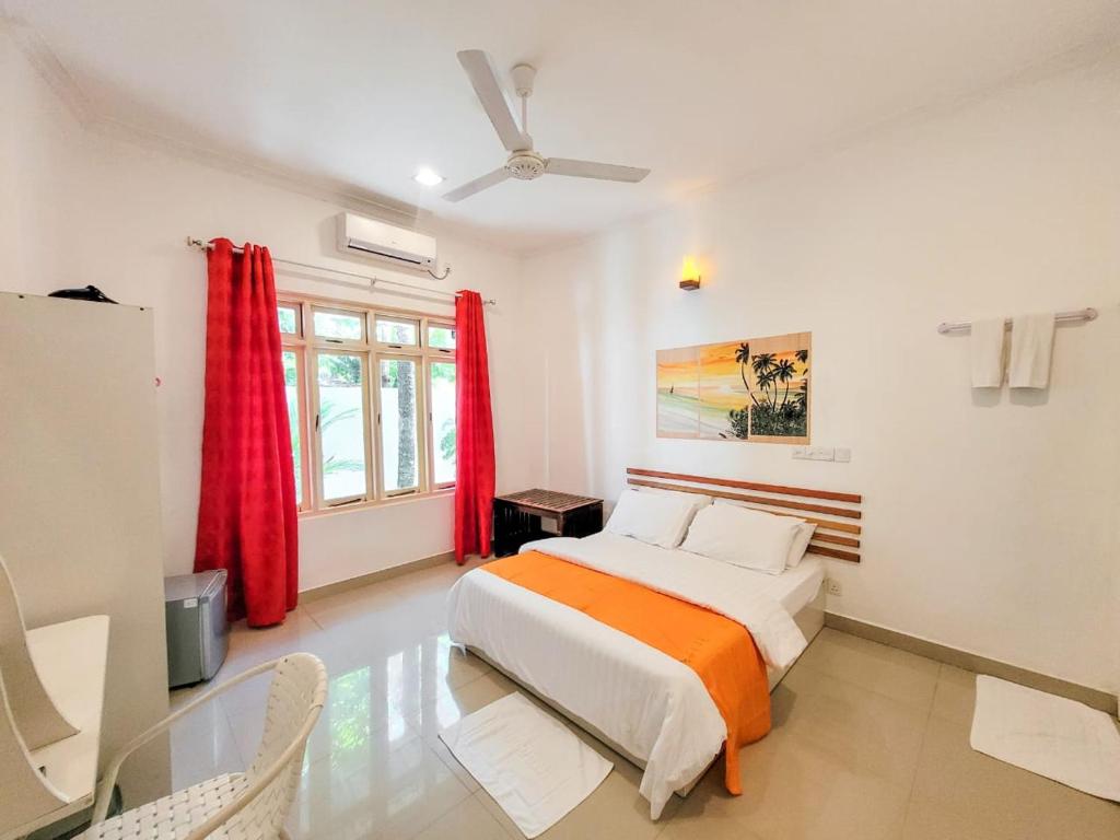 Photo of Alesara Guest House in Thoddoo, Maldives