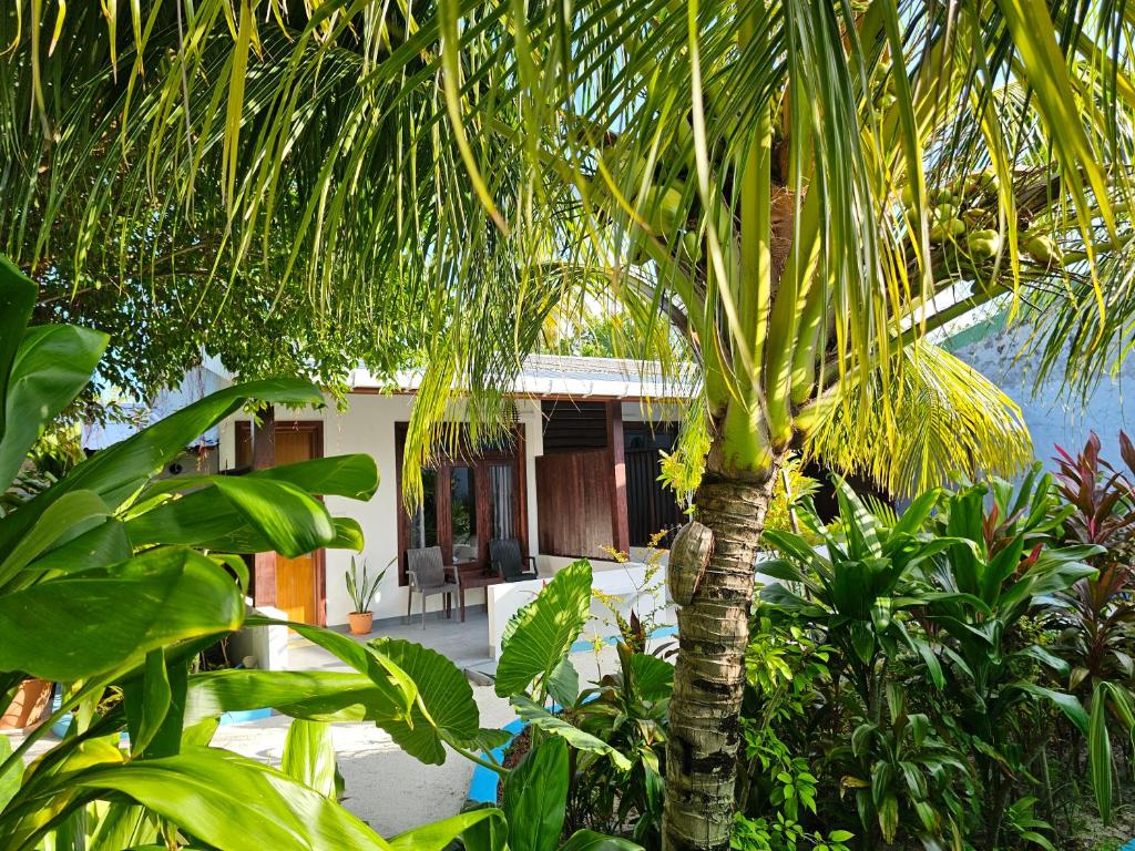 Photo #1 of Garden Rooms by Lagoon View in Bodufolhudhoo, Maldives