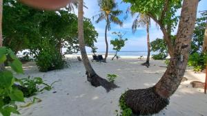 Photo #6 of Galaxy Sunrise Sea View in Fulidhoo, Maldives