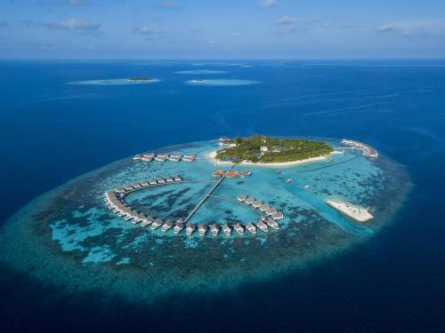 Photo #2 of The Centara Collection, Machchafushi Island Resort & Spa Maldives - 30 percent discount on transfers for min 4 nights stay and more, valid for reservations between 11th Feb till 22 Dec 2025 in South Ari Atoll, Maldives