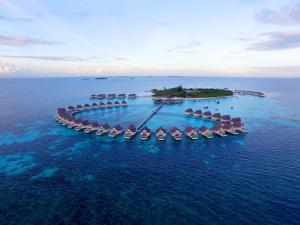 Photo #5 of The Centara Collection, Machchafushi Island Resort & Spa Maldives - 30 percent discount on transfers for min 4 nights stay and more, valid for reservations between 11th Feb till 22 Dec 2025 in South Ari Atoll, Maldives