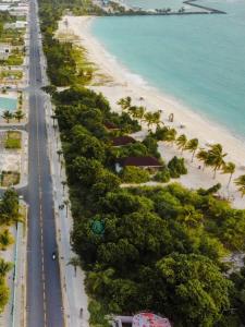 Photo #4 of Jazz guest house in Milandhoo, Maldives