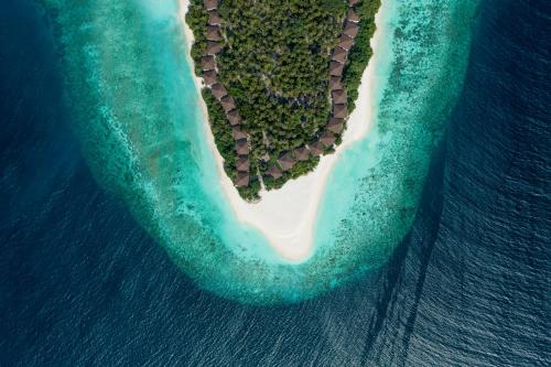 Photo #3 of Avani Plus Fares Maldives Resort - 50 percent off on Seaplane transfer for minimum stay of 3 nights and more for stays until 31 October 2025 in Baa Atoll, Maldives