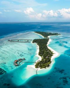 Photo #6 of Niyama Private Islands Maldives - 25 percent off on Seaplane for minimum stay of 7 nights and more for stays until 20 October 2025 in Kudahuvadhoo, Maldives