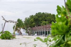 Photo #6 of Ocean Lilly Inn in Hangnaameedhoo, Maldives