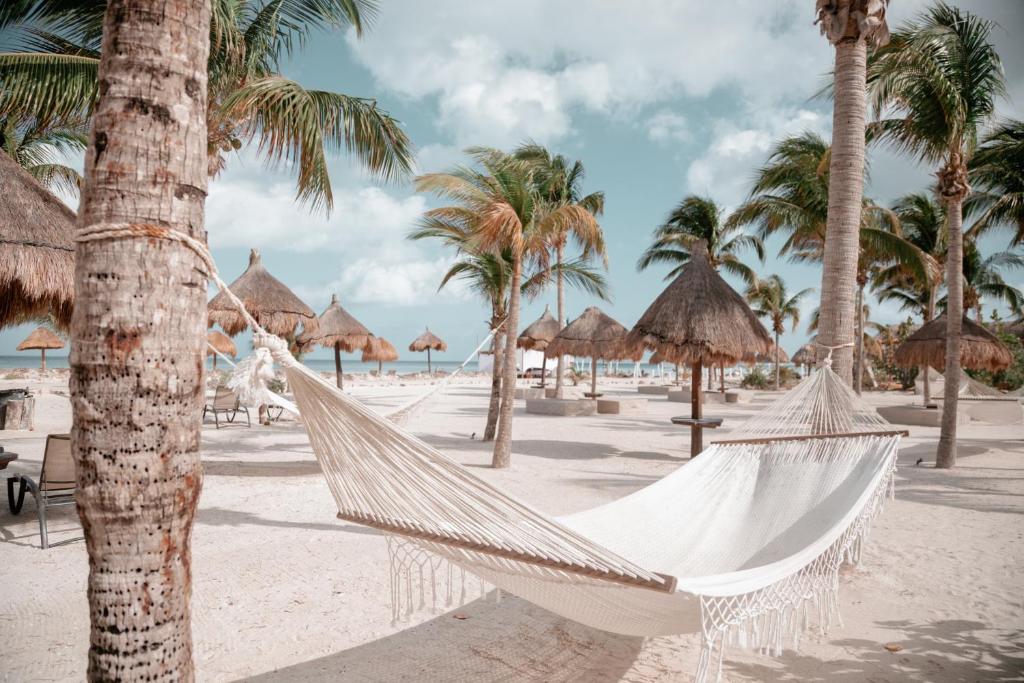 Photo #1 of Blue Holbox in Holbox, Mexico