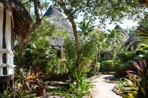 Photo #5 of Blue Holbox in Holbox, Mexico